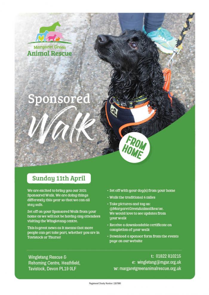 Updates Sponsored Walk (2021) poster